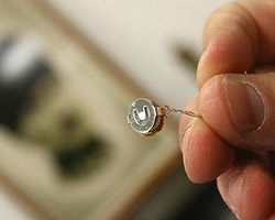 Böcek Soruşturmasında 5 Polisin Yakalama Kararları Kaldırıldı