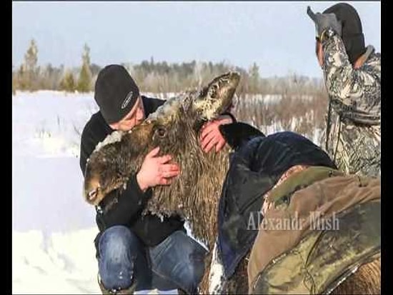 Yardımsever İnsanların Her Yerde Olduğunun Kanıtı