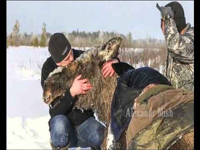 Yardımsever İnsanların Her Yerde Olduğunun Kanıtı