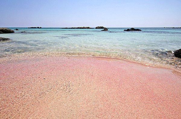 13. Pembe kumu olan,Elafonisi Plajı Crete Yunanistan