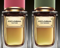 Dolce&Gabbana’dan İki Yeni Velvet