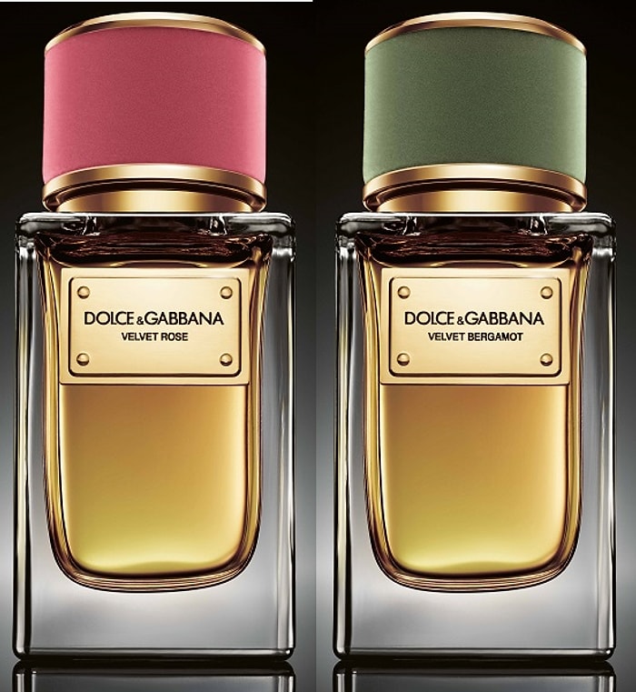 Dolce&Gabbana’dan İki Yeni Velvet