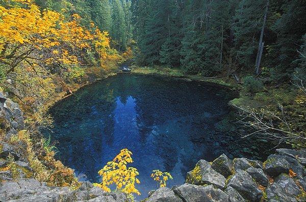19. Blue Pool, McKenzie River, Oregon
