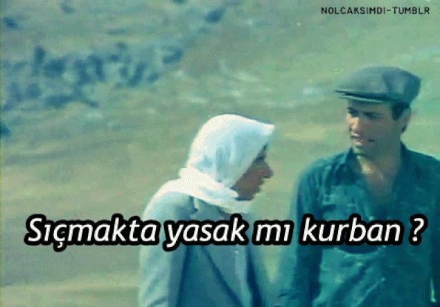 s-bef53c5fdf2f0183f1acdcc357059cc96ef95bdc.gif