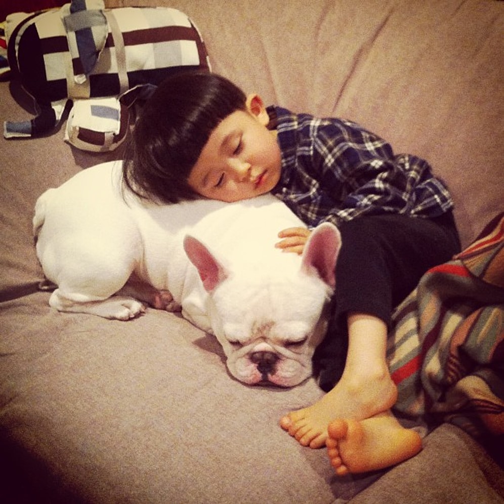 Bulldogların Köpekler Aleminin En Tatlılarından Olduğunun 30 İspatı