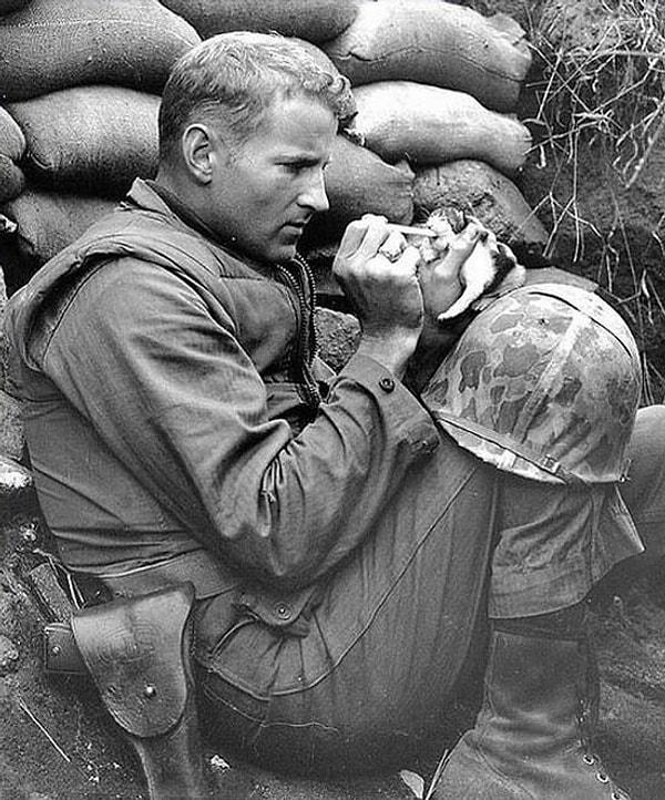 3. Asker Frank Paytor, Kore Savaşı esnasında 2 haftalık bir kediyle ilgilenirken