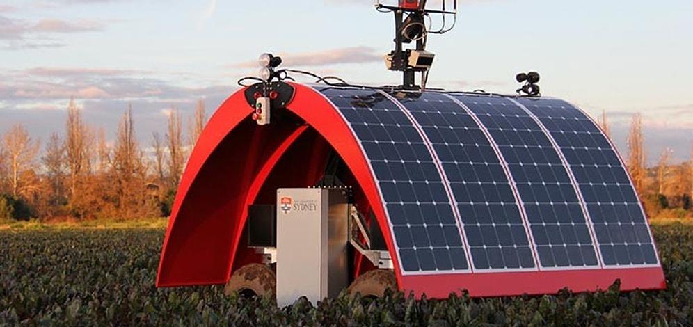 Dünyanın İlk Güneş Enerjisiyle Çalışan Çiftlik Robotu
