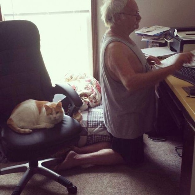 2. Kedi sahipleri daha empatik.