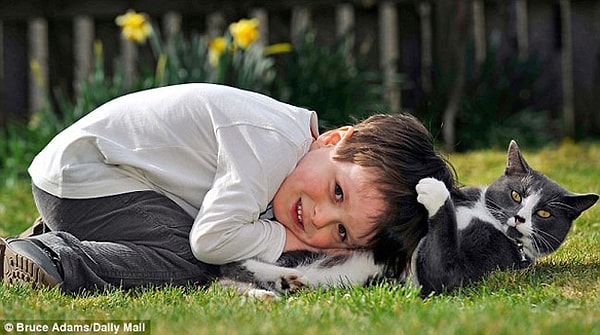 16. Кошки помогают детям с аутизмом