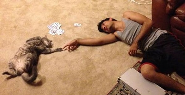 19. Кошки превращают детей в более вежливых и нежных людей.