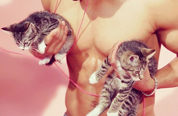 22. Кошки привлекают женщин.