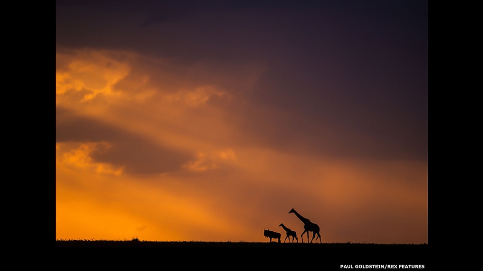 Afrika Ufuklarında Güneşin Yarattığı Birbirinden Etkileyici 10 Manzara