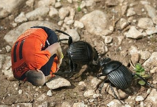 Sosyal Medyada Paylaşılan 16 Robben Geyiği