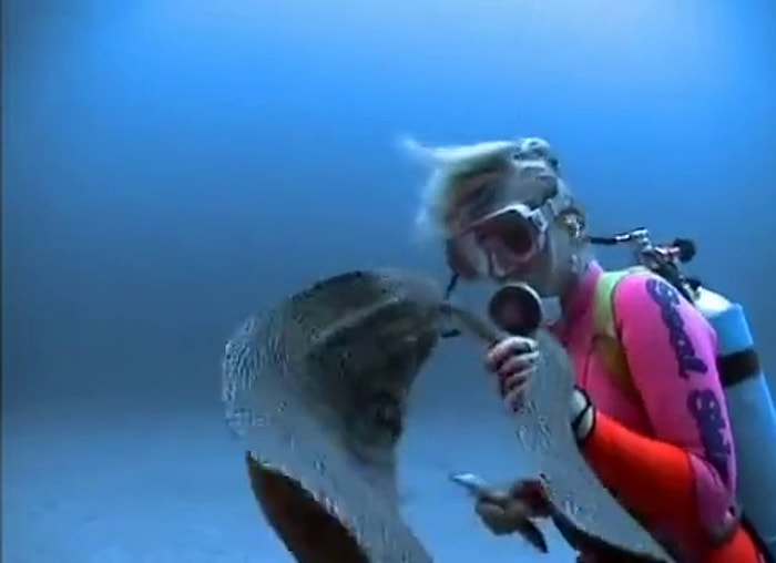 Kadın Dalgıçla Aşk Yaşayan Balık