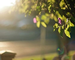 Meteoroloji Uyardı: Güneş Altında Kalmayın