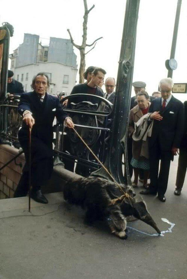 43. Salvador Dalí, beslediği karıncayiyen ile metrodan çıkıyor, Paris, 1969