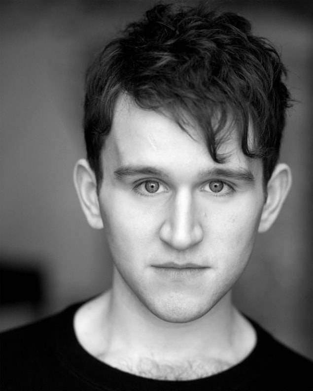 Harry Melling Dudley Dursley
