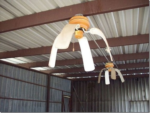11.