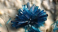 Bakmaktan Gözlerinizi Alamayacağınız Güzellikte 29 Mineral