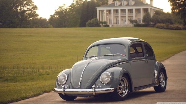 8. Beetle