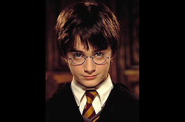 Harry Potter serisi bir akıl hastalığı hakkında ve Hogwarts tam bir akıl hastanesi.