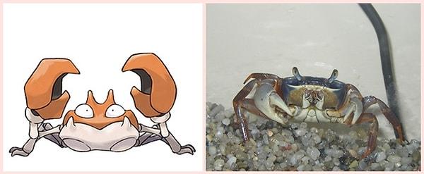 30. Krabby - Crab (Yengeç)