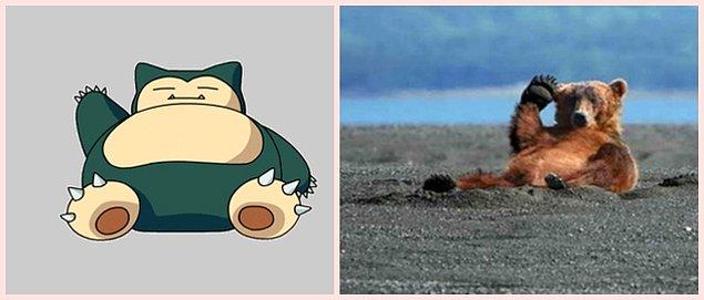 8. Snorlax - Bear (Or you know, Totoro)