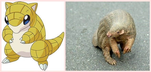 15. Sandshrew - Pangolin