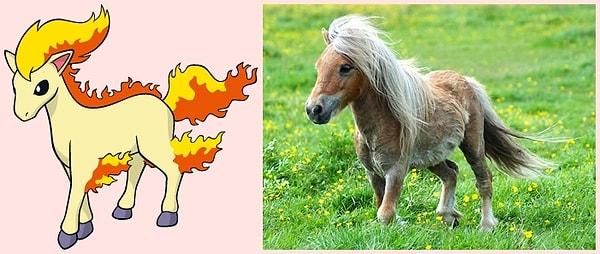 16. Ponyta - Pony (Midilli)