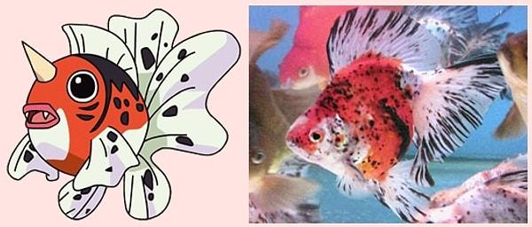 3. Seaking - Calico Ryukin Goldfish