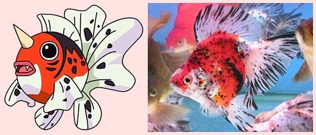 33. Seaking - Calico Ryukin Goldfish
