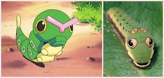 Pokemon'un Yaratıcılarının Gerçek Canlılardan Esinlendiğinin 35 İspatı