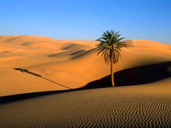 6. Sahra Çölü aslında sadece kuru bir dönem geçirmektedir ve yaklaşık 10.000 yıl sonra tekrar yeşil olacaktır.