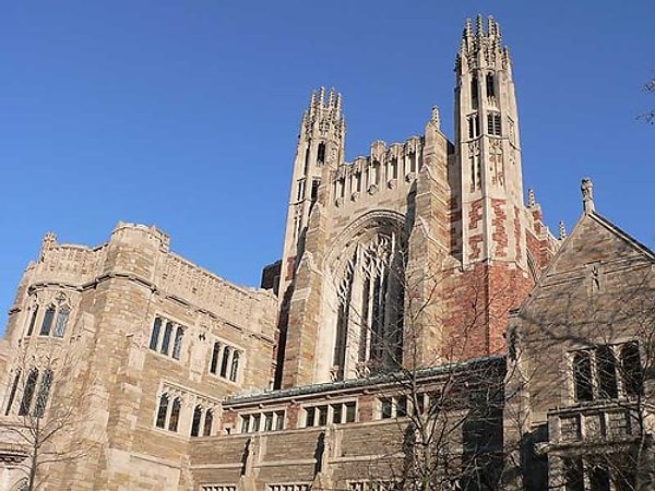 Siz "Yale Üniversitesi"nde okumalısınız