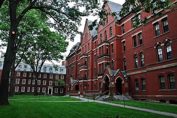 Siz "Harvard Üniversitesi"nde okumalısınız