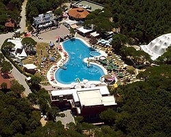 Müdürleri Kovduran Park Orman Raporu
