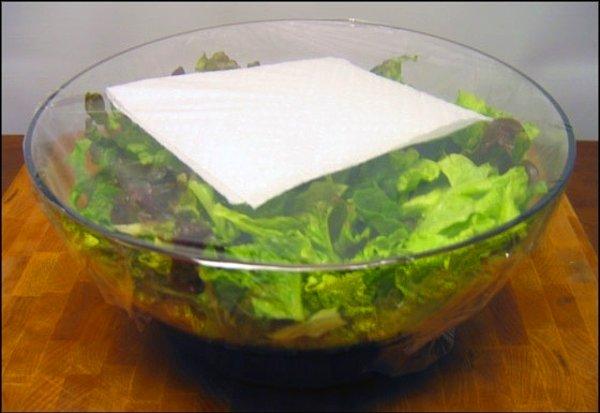 11. Paketin içine konan bir mendil, salatanın nemini alır, daha uzun süre taze kalmasını sağlar!
