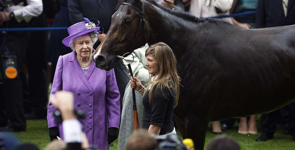 İngiltere Kraliçesi'nin Atı Dopingli Çıktı