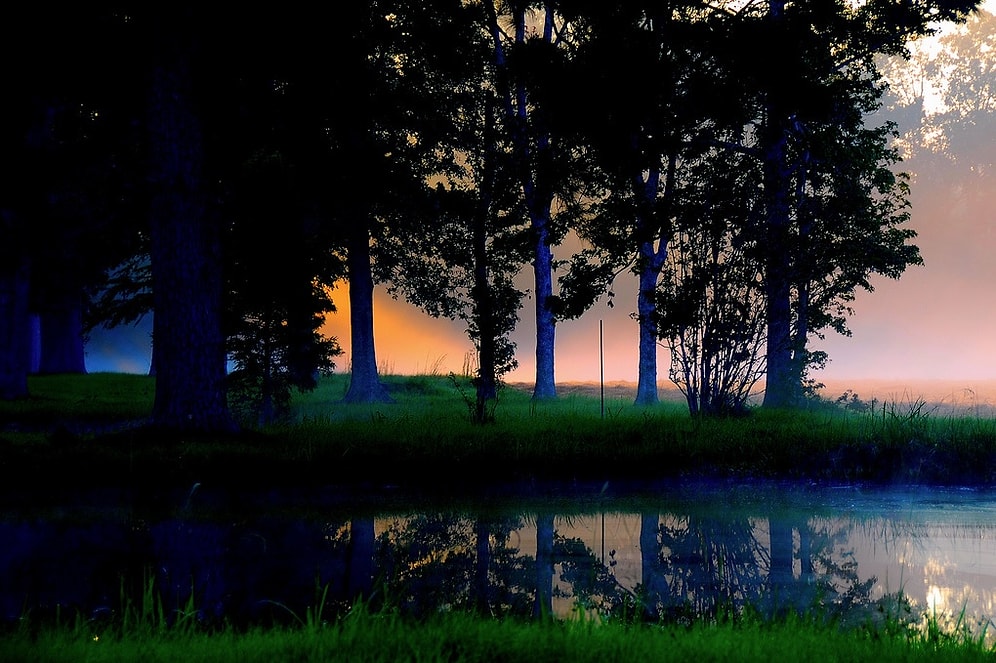 Doğanın "Sessizliği" Anlattığı 31 Fotoğraf