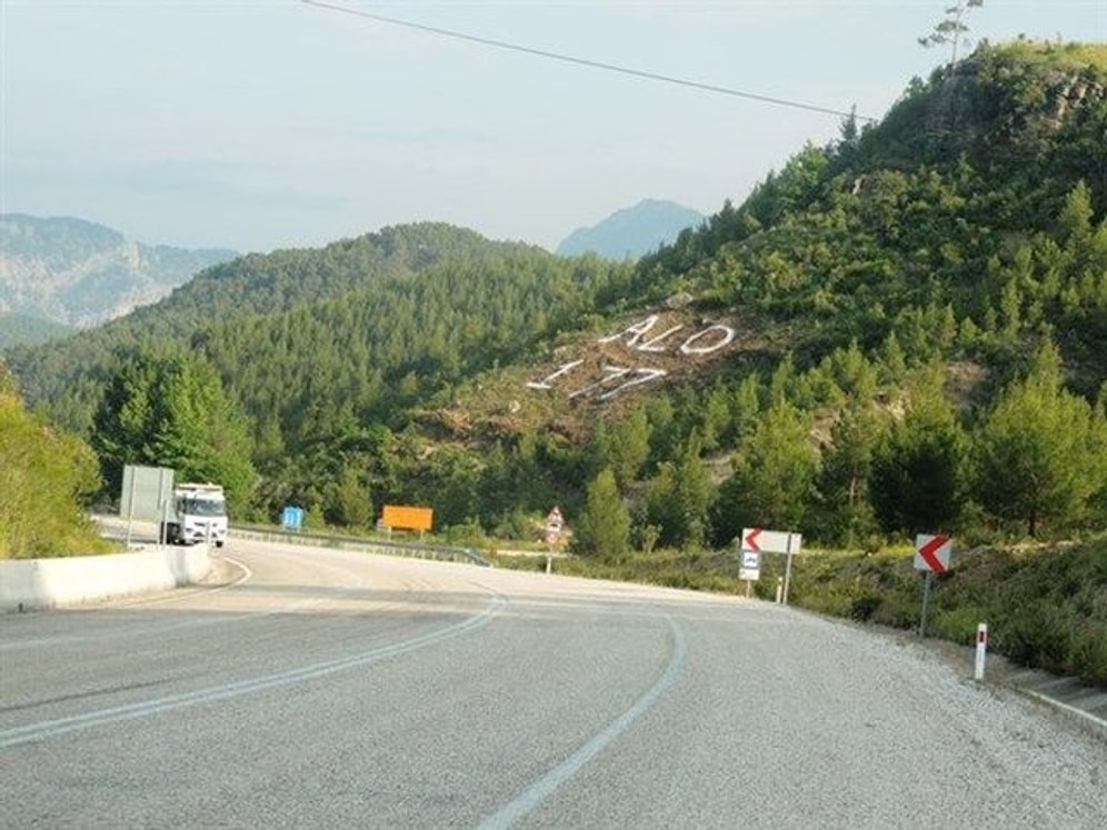 Alo 177 Yazmak İçin Ağaç Kestiler...