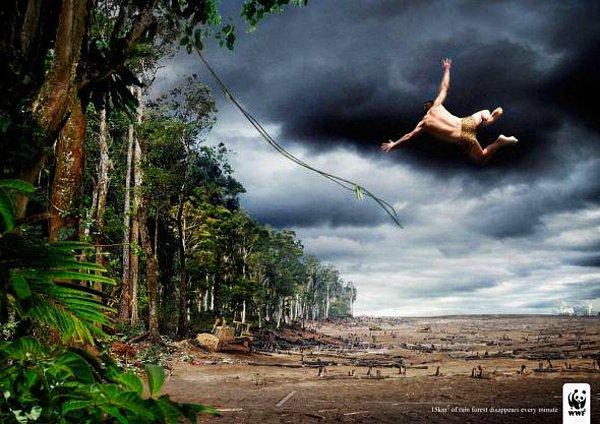 8. WWF: Her dakika 15 kilometrekarelik orman yok oluyor!