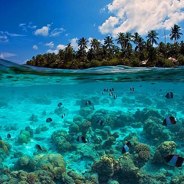 21. Maldivler, Hint Okyanusu - Umman Denizi