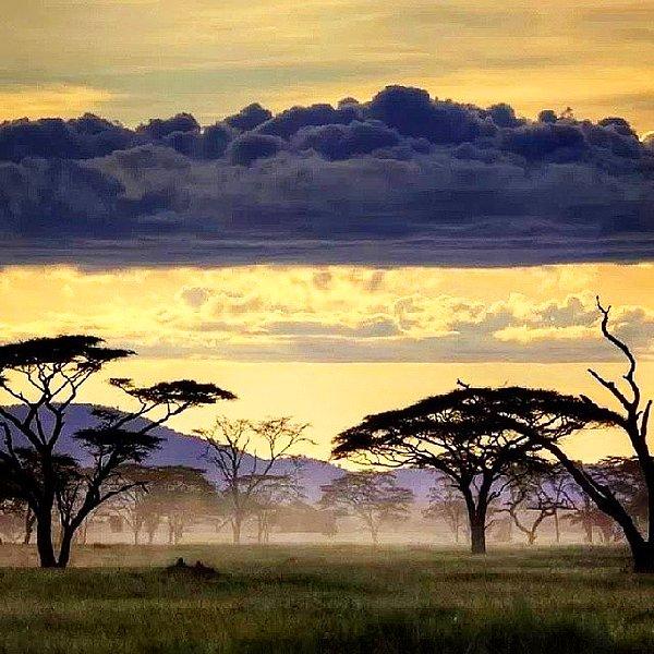 40. Serengeti Milli Parkı, Tanzanya