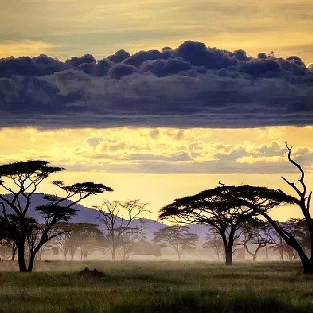 40. Serengeti Milli Parkı, Tanzanya