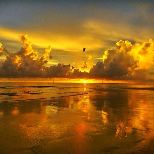 50. Florida, ABD
