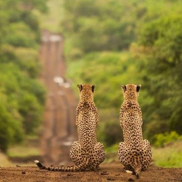56. Afrika'da bir yer