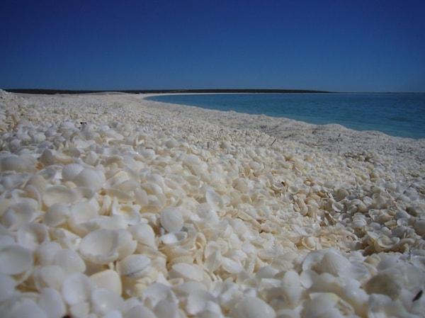 11. Shell Beach, Avustralya