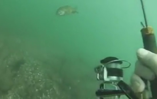 Su Altında Oltayla Balık Tutmak