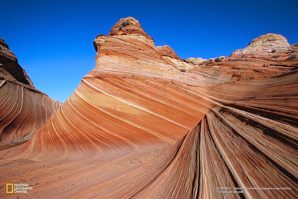 National Geographic'ten Nefes Kesen 42 Fotoğraf