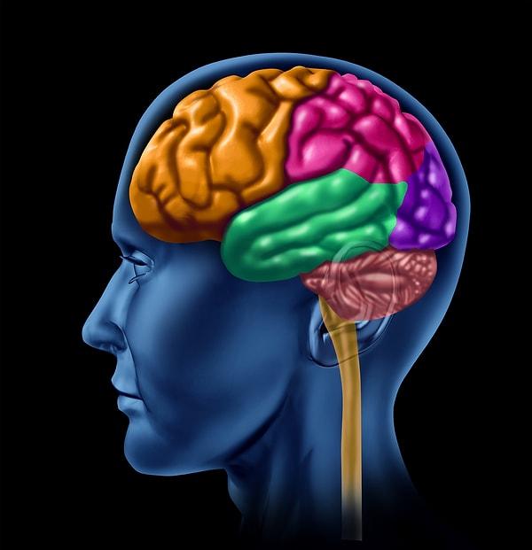 Birinin yüzünü hatırlamak için beynin sağ tarafı kullanılır.